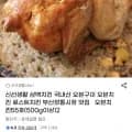 삼백치킨 국내산 오븐구이 로스트치킨 55호 (500g이상) 2마리(12,790원/무료)