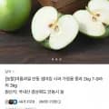 안동 썸머킹 가정용 사과 2kg (8,210원/무료)