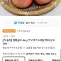 털복숭아 4kg (25-28과 내외) (15,950원/무료)