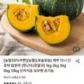 제주 미니 단호박 밤호박 5kg 혼합 (9,970원/무료)