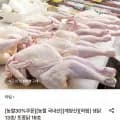하림 생닭 13호 닭백숙용 (9,620원/무료)