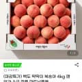 백도 딱딱이 복숭아 4kg 랜덤과 A급 정품 마트납품용(15,810원/무료)