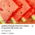 국내산 하우스(정품) 수박 5kg (12,440원/무료)