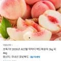 2026 딱딱이 백도복숭아 2kg 외 (10,790원 / 무료)