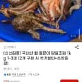 국내산 활 돌문어 당일조업 1kg 1-3미 (17,900원/무배)