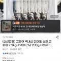 국내산 다대포 손질 고등어 2.3kg(16,730원/무배)