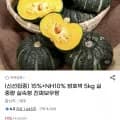 밤호박 보우짱 5kg (12,500원/무배)