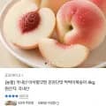 국내산 딱딱이복숭아 4kg (18,080원/무배)