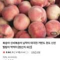 황도/백도 4kg 중소과 20-28과 (15,900원/무료)