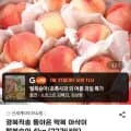 경북직송 돌아온 딱복 아삭이 털복숭아 4kg (22과내외 6,720원 ~ 16과 24,720원)1
