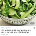 국산 삶은 배추 우거지 2kg (6,660원/무배)