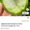아오리사과 2kg(중소과) 1박스 (12,600원/무료)