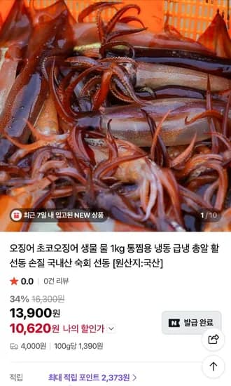 국산 생물 오징어(4-5미) 1kg (10,620원/네멤무료)