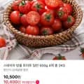 스테비아 방울 토마토 kg (10,400원 / 무배)2