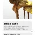 자연산 활 돌문어 1마리 700g 고정(16,580원/무배)