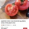 국내산 완숙토마토 5kg (랜덤과) (9,640원/무료)