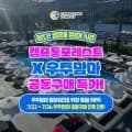 캠프통 무제한이용권 36020원
