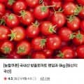 방울토마토 랜덤과 5kg (2,930원 / 무료)1