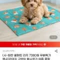 강아지고양이 쿨 젤매트 L 65x50 (6,720원/무료)