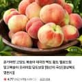 고당도 백도 딱딱이 복숭아 중과 10-12과내외 2kg (13,00원/무료)9