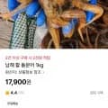 남해 활 돌문어 1kg (17,900원/무료)