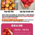 햇자두 후무사자두 3kg 대과(8,870원/무배)1