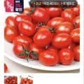 국내산 방울토마토 5kg (9,685원/무료)