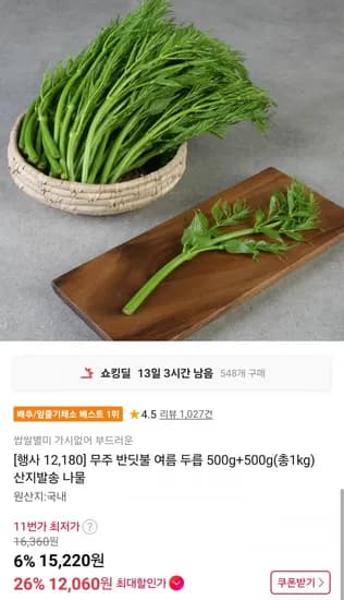 무주 반딧불 여름 두릅 500g+500g (1,060원/무료)2