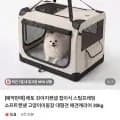 강아지켄넬 접이식 스틸프레임 대형견 애견캐리어 30kg (49,900원/무료)