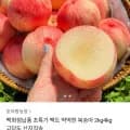 백도 딱딱이 복숭아 2kg (8,900원 / 무료배송)