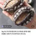 특대 활 전복 1kg 10-11미 (19,900원/무료)