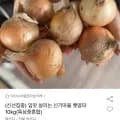 입맛 살리는 신기마을 햇양파 10kg(특상중혼합) 외 치킨스톡 (다양/무료)