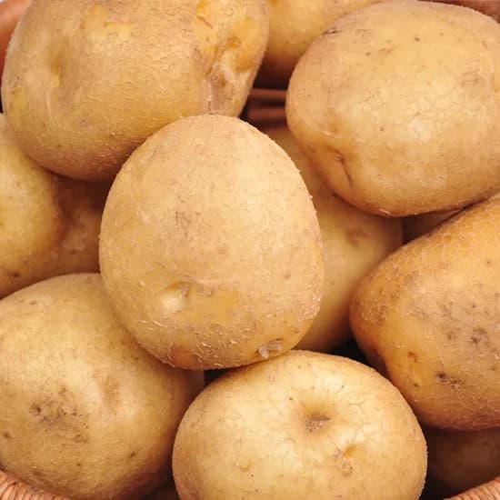 포슬한 감자, 1번 감자 10kg (중) (1,700원/무료)