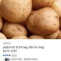 국내산 햇감자 5kg (개당 70~100g) (7,120원/무료)