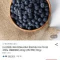 미국산 생블루베리 310g 2팩 (15,980원/무료)