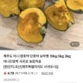 제주도 미니 밤호박 특품 로얄과 3kg (9,800원/무배)