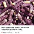 곡성 특품 흑찰옥수수 10개 (11,900원/무배)