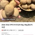 국내산 두백 수미 햇감자 5kg (8,900원/무료배송)