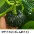 미니밤호박 4kg 특품 (9,900원/무료배송)