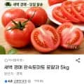 새벽 경매 특품 완숙 토마토 핫딜5kg(12,420/무대)