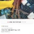국내산 여수 생물 돌문어 1kg (16,900원/무배)