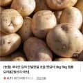 국내산 햇감자 3kg (5,800원/무배)