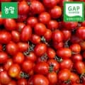 국내산 대추방울토마토 로얄 (6,650원/무료)
