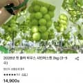국내산 샤인머스켓 2kg (3,460원/무료)1