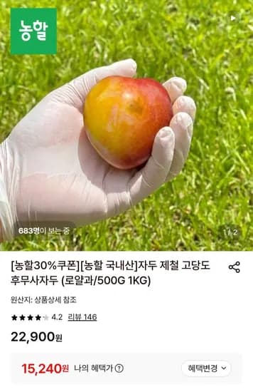 고당도 후무사 자두 로얄과 kg (15,240원/무배)1
