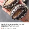 국내산 활 전복 10~11미 1kg (19,900원/무배)