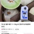 허니듀 멜론 11~12kg 6수 (39,900원/3,500원)