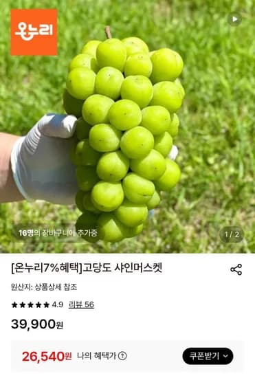 고당도 샤인머스켓 .4kg 3수 (26,540원/무배)2