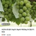 샤인머스켓 중과 1kg 수 (9,900원/무료)2