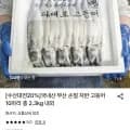 손질자반 고등어 10마리 (14,540원/무료)